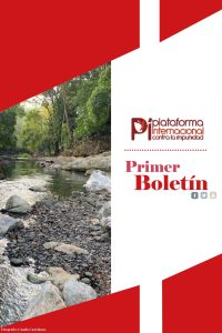 primer boletin portada